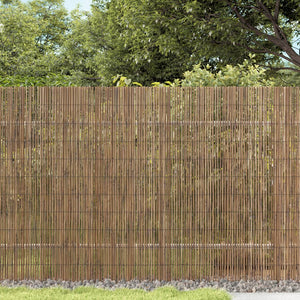 Schilf Gartenzaun 600x100 cm