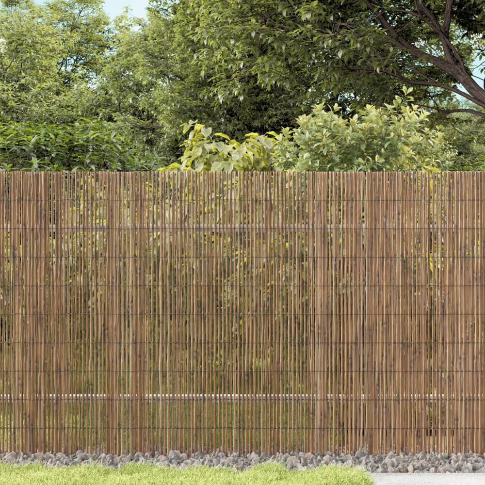 Schilf Gartenzaun 1000x90 cm