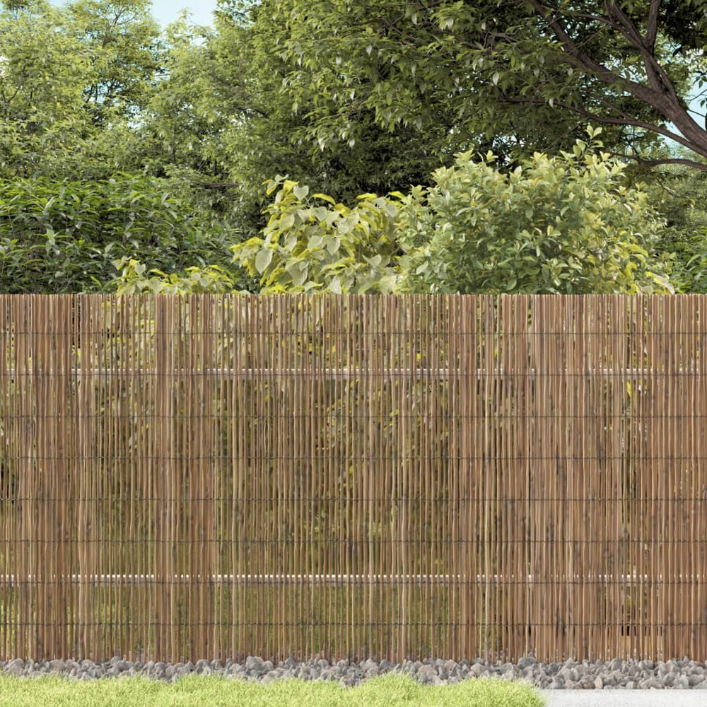 Gartenzaun Schilf 500x80 cm