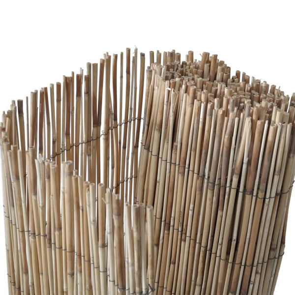 Schilf Gartenzaun 1000x80 cm