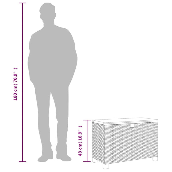 Gartentruhe Grau 80x40x48cm Poly Rattan