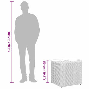 Poly Rattan Kissenbox Braun 50x50x50cm