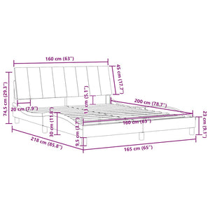 Bettgestell 160x200 cm Hellgrau Samt