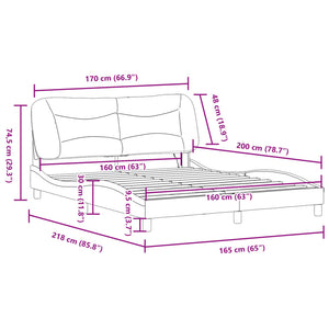 vidaXL LED Bed Frame without Mattress "Hvar" Dark Gray 160x200 cm Fabric