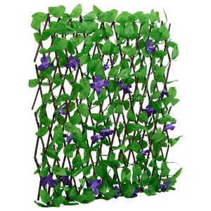 Efeu Rankgitter 180x70cm, 5er Set