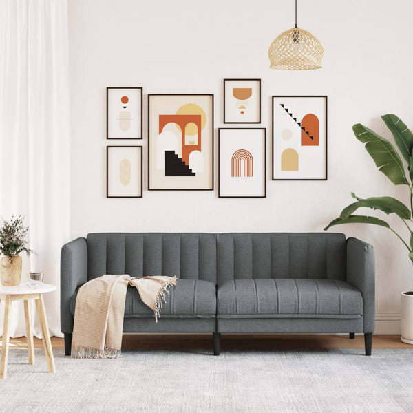2-Sitzer Sofa Dunkelgrau Stoff