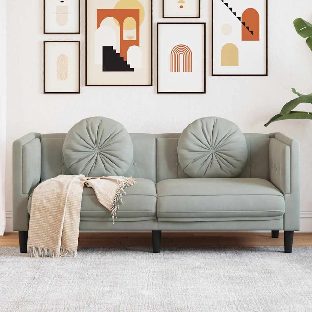 2-Sitzer Sofa Hellgrau Samt mit Kissen