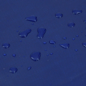 vidaXL Bâche bleue 2,5x4,5 m 650 g/m²