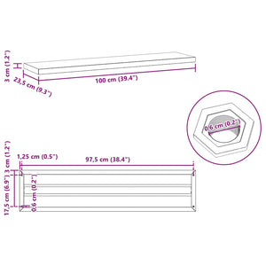 Wandregale 2 Stk. 100x23,5 cm Silbern Edelstahl