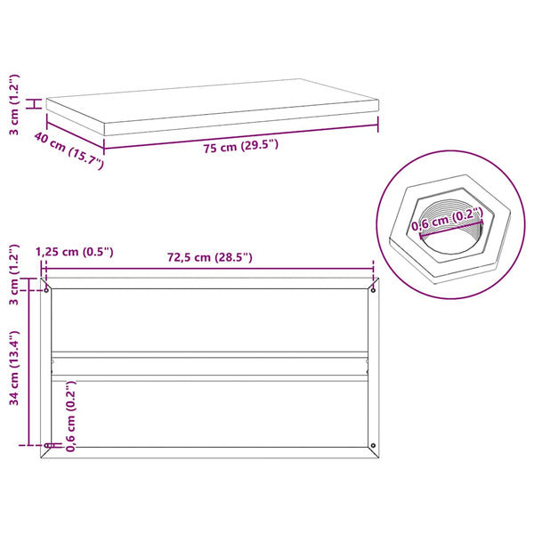 Wandregale 2 Stk. 75x40 cm Schwarz Edelstahl