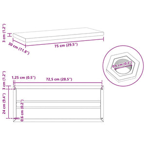 Wandregale 2 Stk. 75x30 cm Schwarz Edelstahl