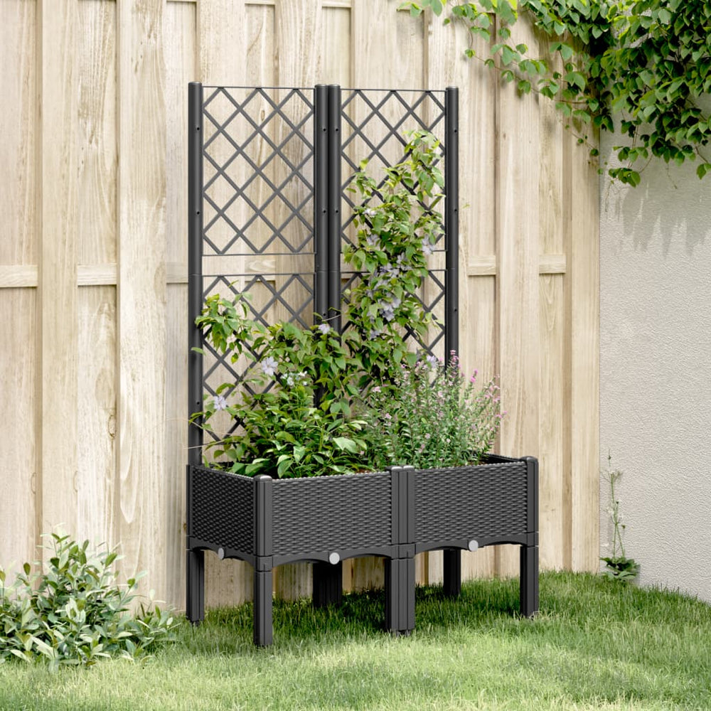 Pflanzkübel mit Rankgitter Schwarz 80x40x142cm