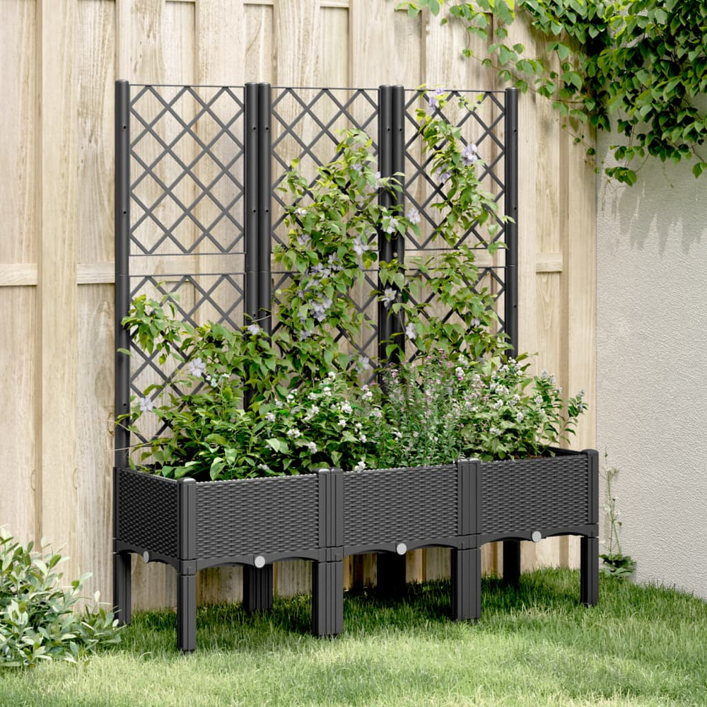 Pflanzkübel mit Rankgitter Schwarz 120cm