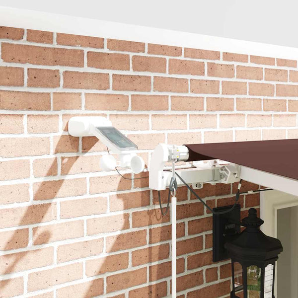 Automatische LED Markise Braun 600x300 cm