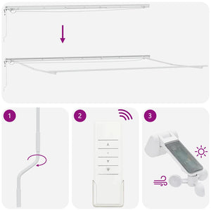Automatische LED-Markise, 600x300 cm, Anthrazit & Weiß