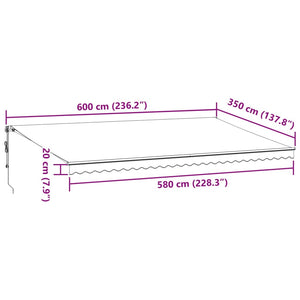 vidaXL Auvent Rétractable Automatique Anthracite et Blanc 600x350 cm