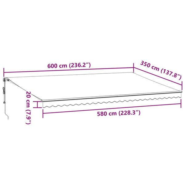 vidaXL Auvent Rétractable Automatique Anthracite et Blanc 600x350 cm