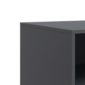TV-Schrank Anthrazit Stahl 67 cm