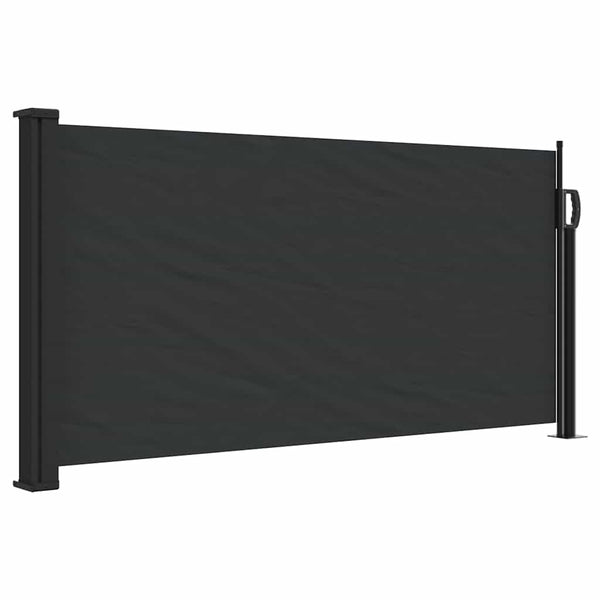 Ausziehbare Seitenmarkise Schwarz 100x300 cm