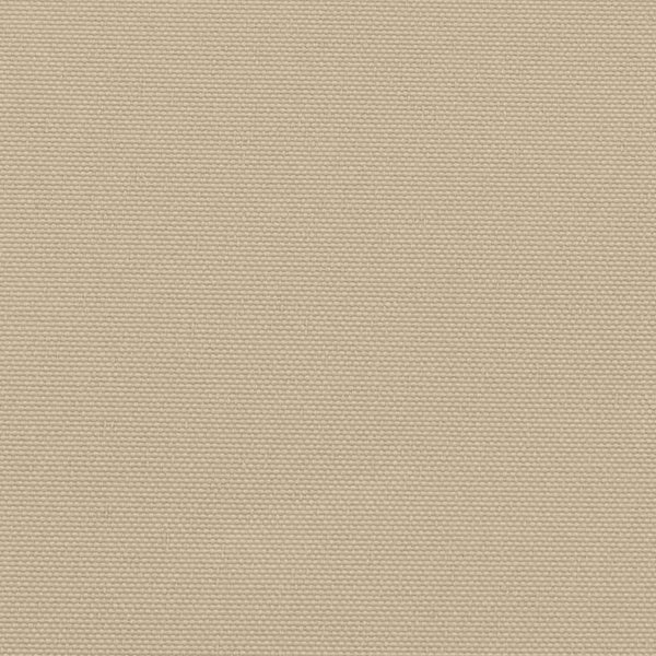Ausziehbare Seitenmarkise Beige 100x300 cm