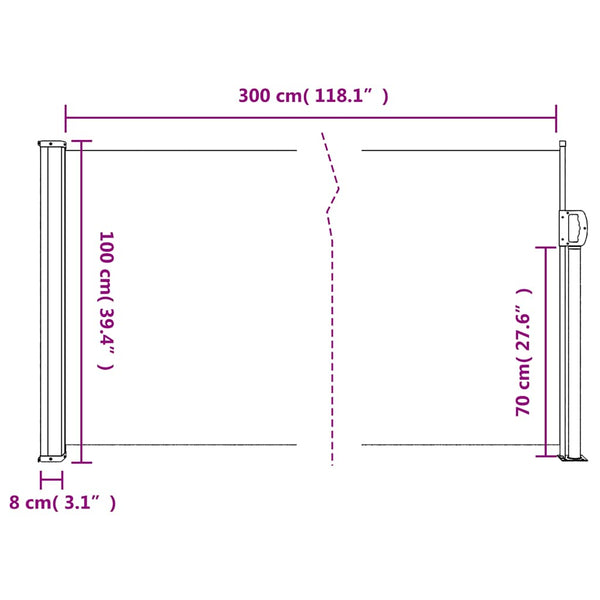 Ausziehbare Seitenmarkise Beige 100x300 cm