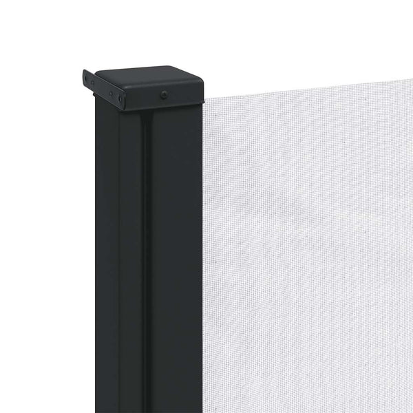 Ausziehbare Seitenmarkise Weiß 100x300 cm