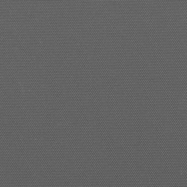 Ausziehbare Seitenmarkise Anthrazit 140x300 cm