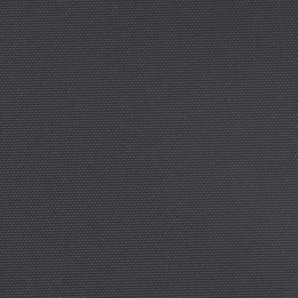 Seitenmarkise Ausziehbar Schwarz 160x300 cm
