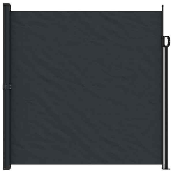 Ausziehbare Seitenmarkise, Schwarz, 200x300 cm