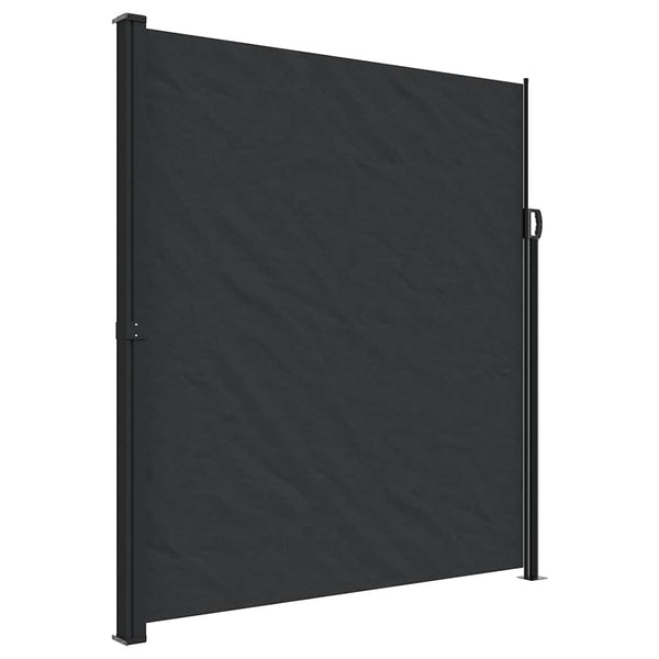 Ausziehbare Seitenmarkise Schwarz 220x300 cm
