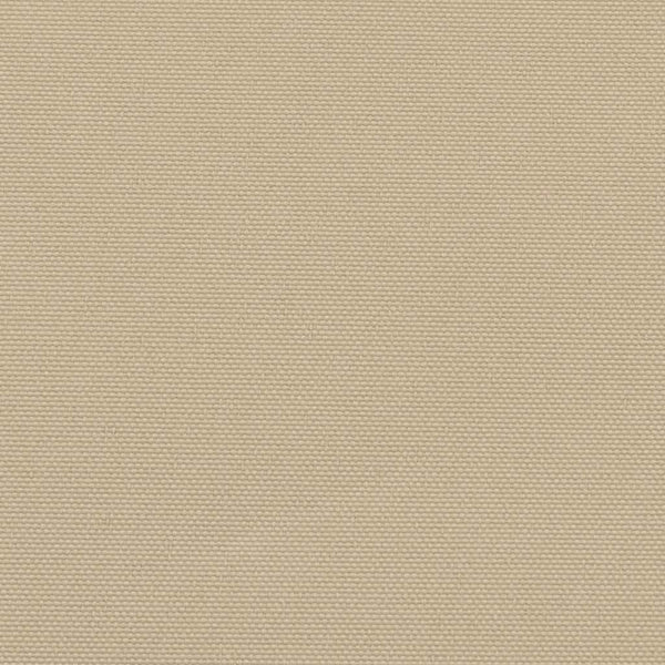 Ausziehbare Seitenmarkise Beige 220x300 cm