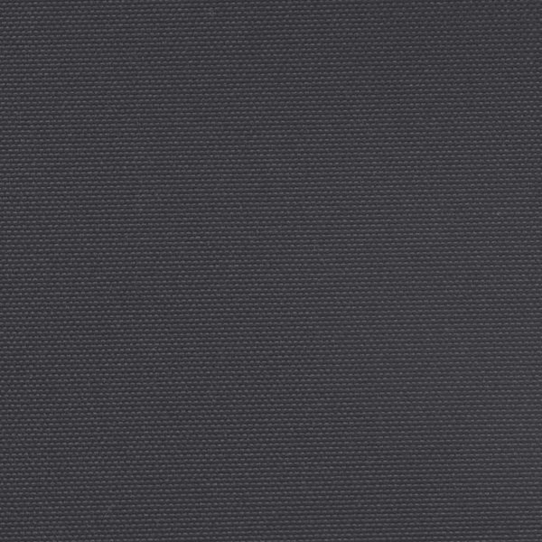 Seitenmarkise Ausziehbar Schwarz 220x500 cm