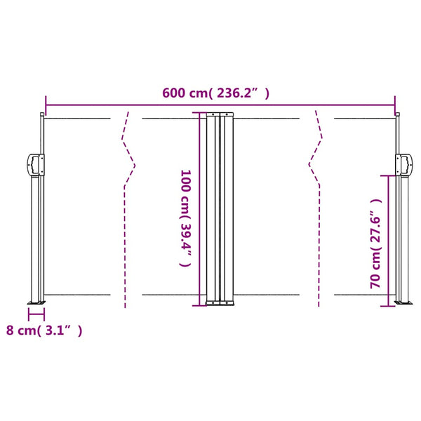 Seitenmarkise Ausziehbar Terrakotta 100x600 cm
