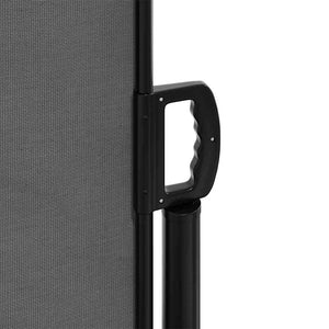 Ausziehbare Seitenmarkise Anthrazit 120x1000 cm