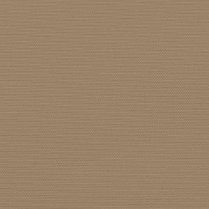 Seitenmarkise Ausziehbar Taupe 160x1000 cm