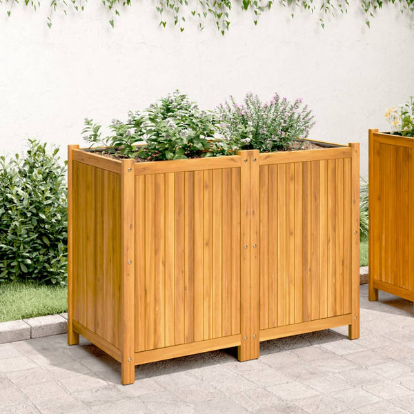 Akazie Pflanzkübel 100x50x75 cm mit Einlage