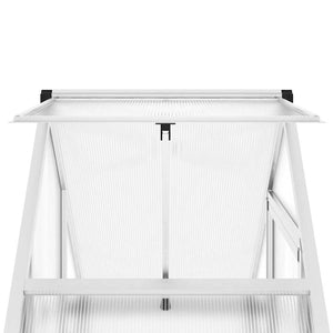 Silbernes Gewächshaus mit Fundament 169x58x195cm