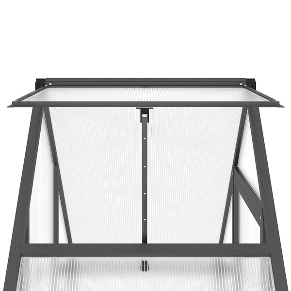 Gewächshaus Anthrazit mit Fundament 169x58x195 cm