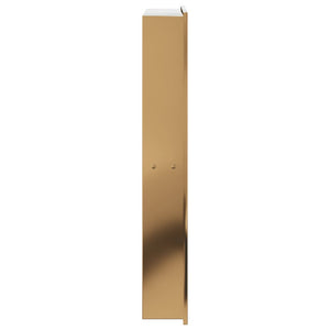 Goldene Duschablage Edelstahl