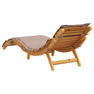 vidaXL Bains de soleil avec coussins 2 pcs Bois d'acacia massif Taupe