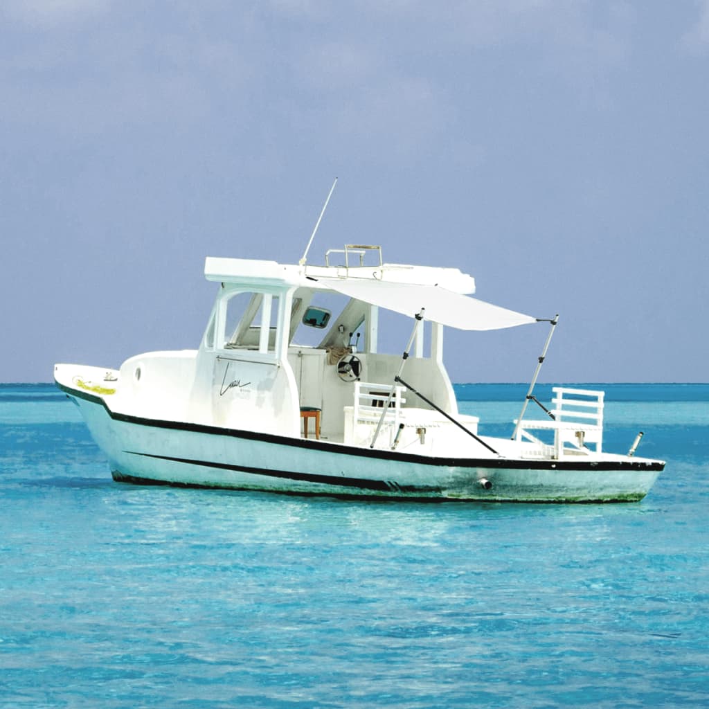 vidaXL Extension de pare-soleil T-Top Blanc 174x205x (115-194) cm