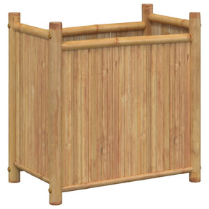 Bambus Pflanzkübel 50x30x50 cm