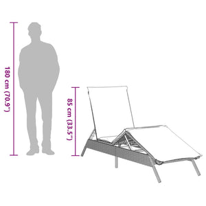 Sonnenliegen mit Auflagen, 2er Set Grau
