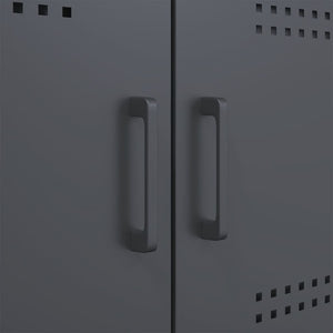Highboard Anthrazit 68x113 cm Stahlschrank