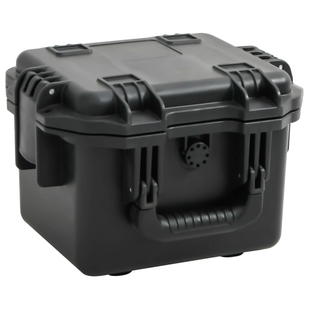 Tragbarer Flugkoffer Schwarz 30x24,5x20 cm
