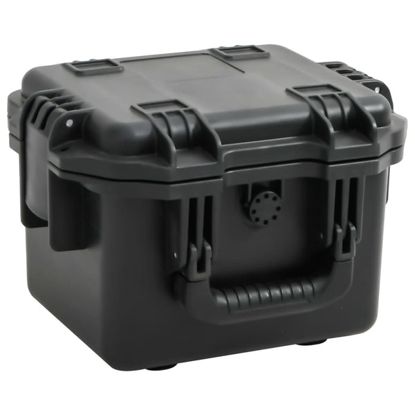 Tragbarer Flugkoffer Schwarz 30x24,5x20 cm