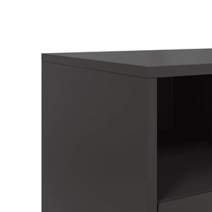 TV-Schrank Schwarz Stahl 100,5 cm