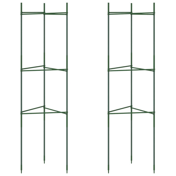Tomatenkäfig 2er Set, 116cm