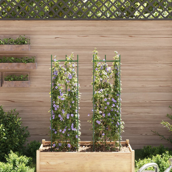 Tomatenkäfig 2er Set, 116cm