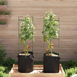 Tomatenkäfig mit Pflanzsack 2er-Set